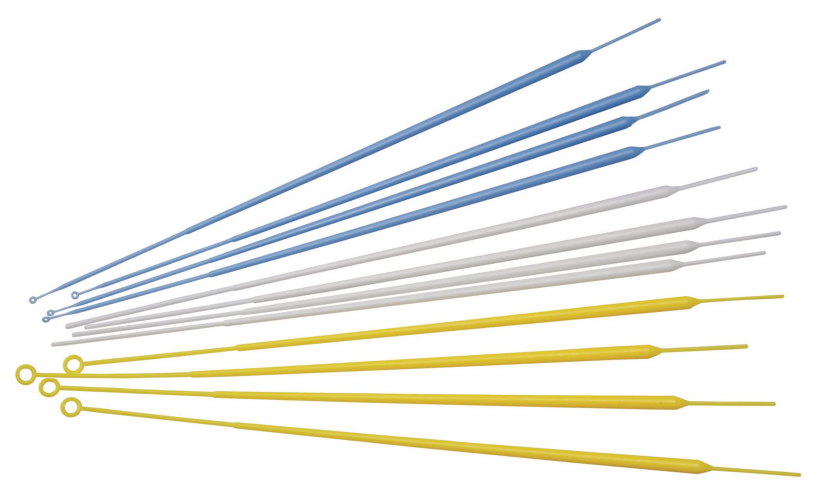 Disposable Loop and Needle